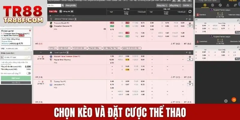 Chọn kèo và đặt cược thể thao