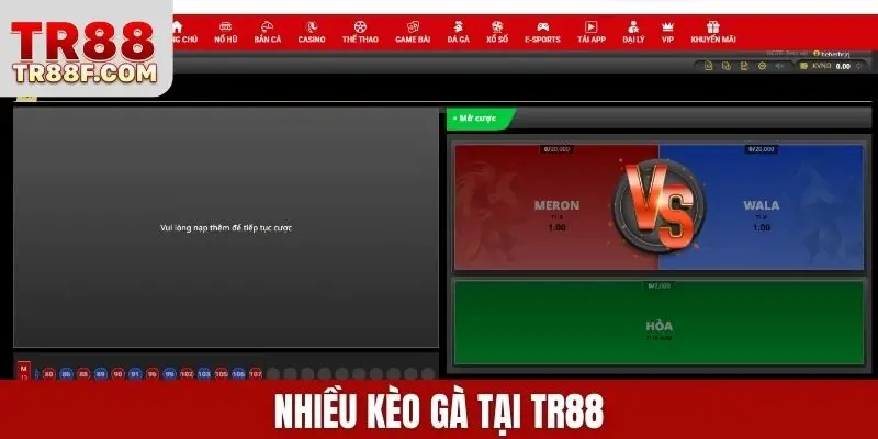 Nhiều kèo gà tại TR88